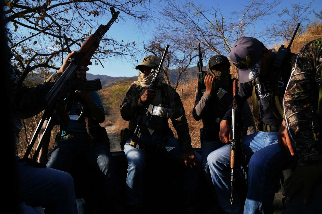 From Cartel Shadows to Mountain Fields: The Human Cost of the Cannabis Trade