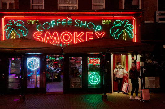 Amsterdam's Weed Scene in 2026: The Classic Dutch Tolerance Meets Modern Growing Pains – A Stoner's Tale