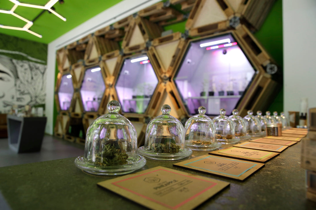 Italy's Weed Scene in 2026: Discreet Gray-Area Highs Amid Roman Ruins and Tuscan Fields – A Stoner's Tale