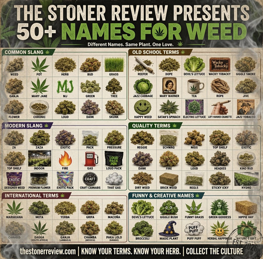 From Reefer to Za: The Poster That Maps the Real Language of Weed