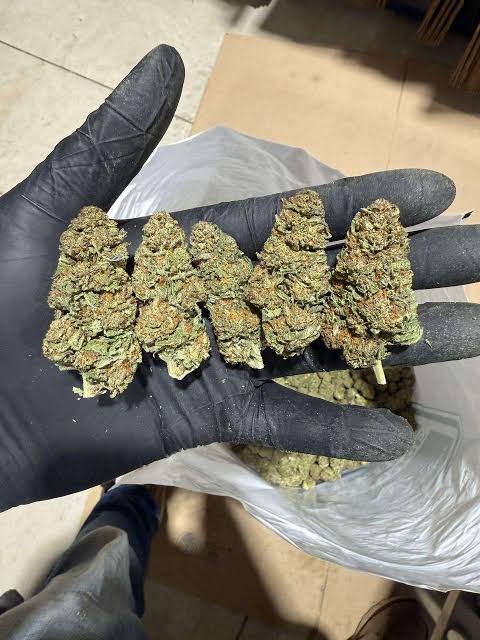 Blue Dream Strain Review: Local NJ Cut Still Delivers the Classic Daytime High (2026)
