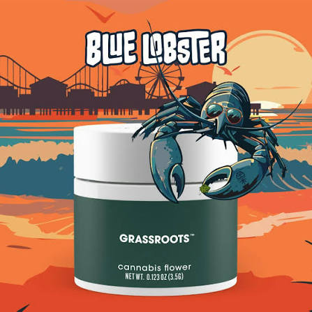 Blue Lobster Strain Review NJ: Graded Eighth (8.7/10) – Effects, Taste & Where to Buy Near East Brunswick