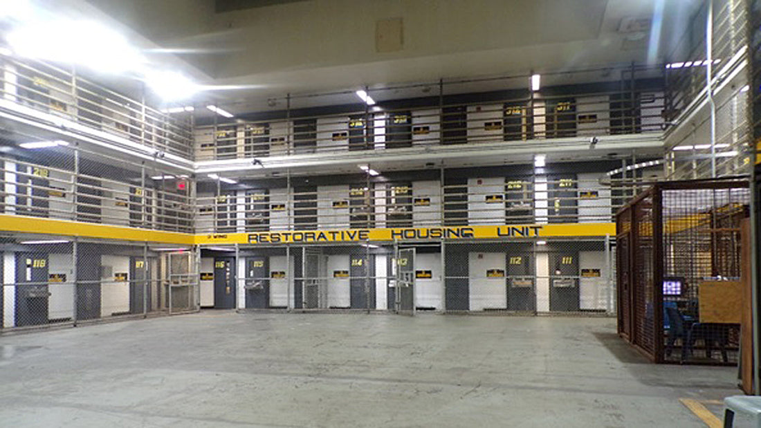 Intelligence Dispatch: New Jersey Prison System vs. National Context – A Comparative Overview theStonerReview.com | Spring 2026 Edition