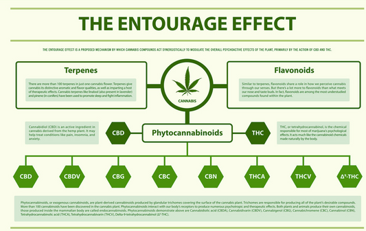 The Entourage Effect: Detailed Explanation