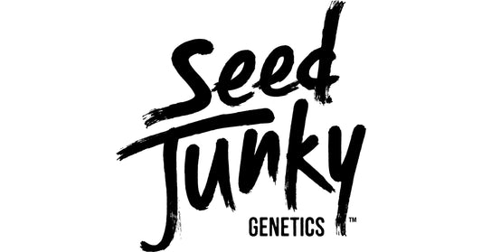 Seed Junky Genetics (JB): The Quiet Architect of Modern Cannabis Hits