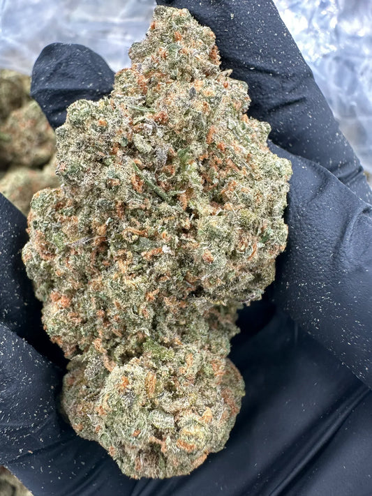 Green Crack cannabis strain close-up