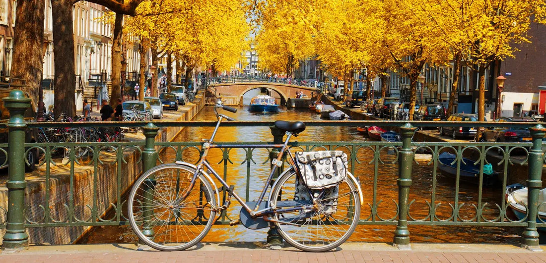Amsterdam Coffeeshop Etiquette: Don’t Be That Tourist – Real Talk for 2026