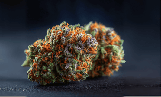 Best Weed Strains of 2026: The Hottest Genetics Dominating Menus Right Now