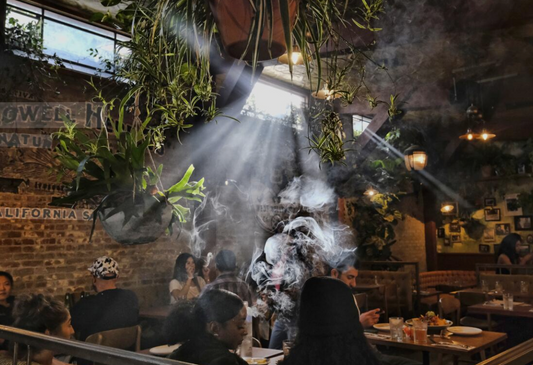 Cannabis Cafes and Lounges: What Central NJ Is Still Missing in 2026