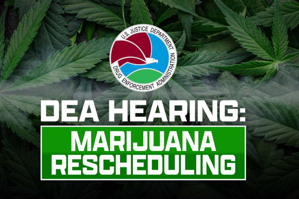 Cannabis News Pulse: May 31, 2026 – The Grind Continues, Feds Keep Us Guessing
