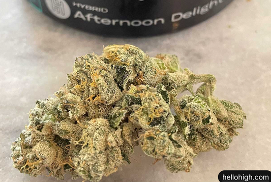 Afternoon Delight Strain Review: The Hybrid That Actually Delivers on That Lazy-Afternoon Promise (Most of the Time)