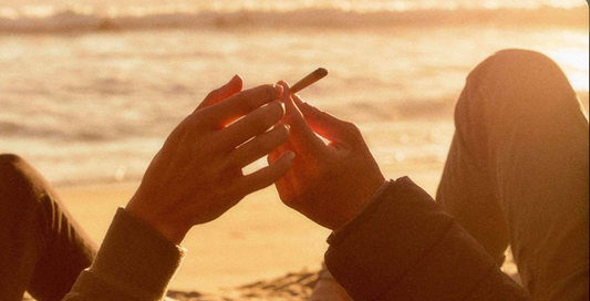 Summer 2026 Stoner Dispatch: Global Vibes, Fire Hybrid Strains & the DEA Hearing That Could Shift Everything
