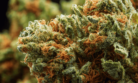 Ultimate Cannabis TV Pairings: Match Your Strain to the Binge