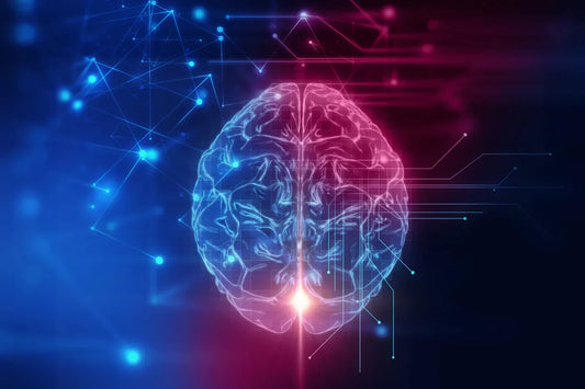 Cannabis & Cognitive Ageing: Groundbreaking Danish Study Shows Regular Users May Have Younger, Sharper Brains
