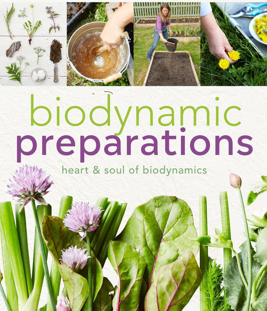 Biodynamic Preparation Recipes (BD 500–508)