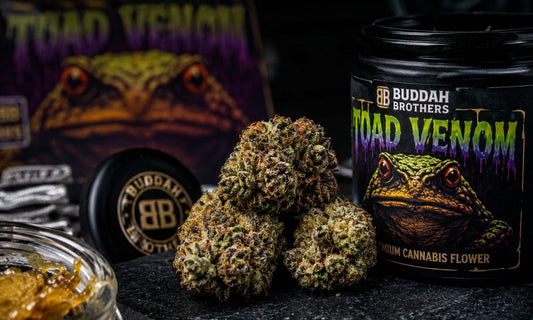 Toad Venom: The Hottest Strain Blazing as of June 15, 2026