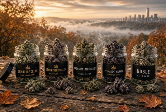 Top 5 cannabis strains dropping in New Jersey dispensaries fall 2026