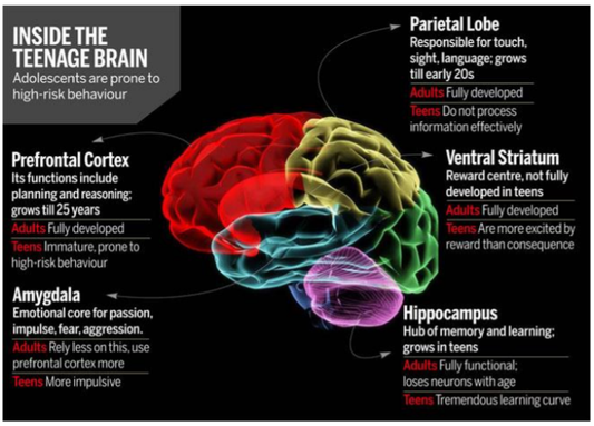 Major US Study Finds Marijuana Use Is Damaging Brain Development in Teenagers