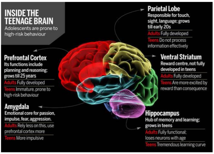 Major US Study Finds Marijuana Use Is Damaging Brain Development in Teenagers