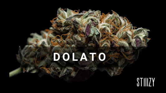 Dosilato (aka Doselitos, Dolato, Dosi-Lato) Strain Review: The Vibrant Indica Hybrid Delivering Deep Relaxation &amp; Rainbow Bag Appeal in 2026