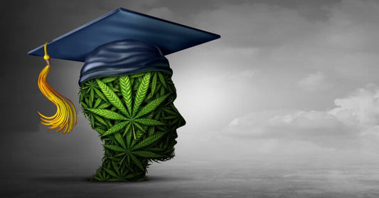 Top 10 Cannabis ("Weed") Schools in the US (2026) & Associated/Popular Strains
