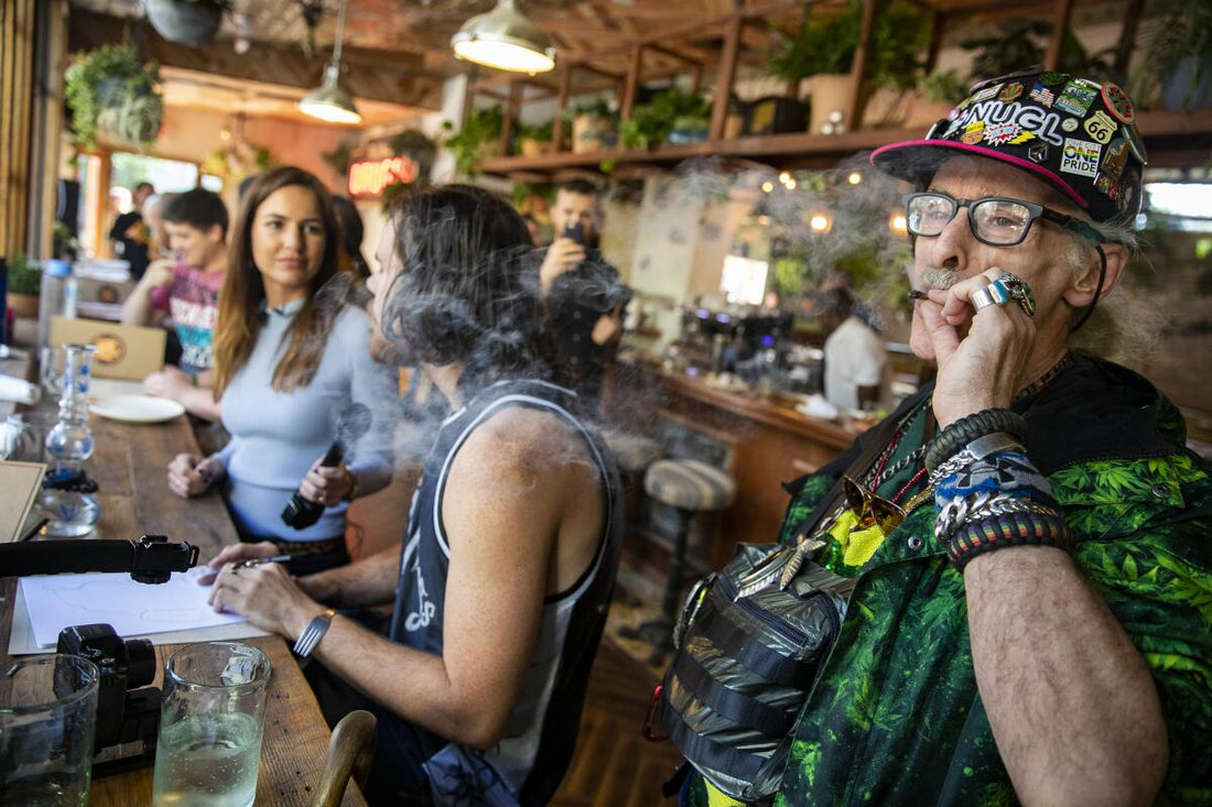 By 2030, Your Weed Comes Like Food Stamps: Big Pharma Owns the Green, and 90% of Us Are Hooked on the Daily Fix.