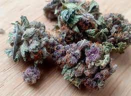 Best Strains in Amsterdam Coffee Shops: What’s Actually Worth Your Euros in 2026