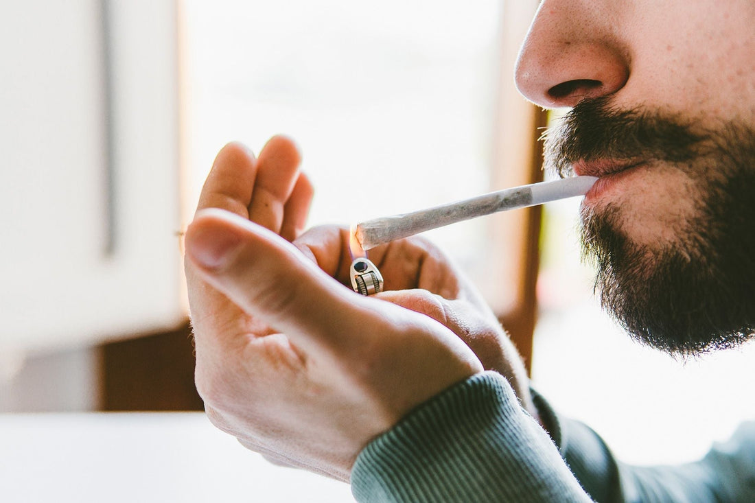 Chasing the Perpetual State: What Constant Cannabis Smoking Really Does to Your Brain and Body – A Data-Driven Breakdown with Real Stoner Stories