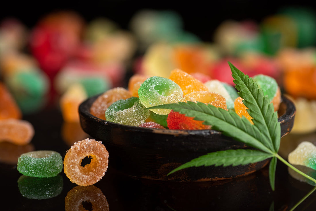 The Great NJ Gummy Hunt: One Head’s Honest Odyssey Through the Garden State’s Best Edibles