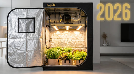How to Grow High-Myrcene & Borneol Rich Strains at Home: The 2026 Ultimate Cultivation Guide