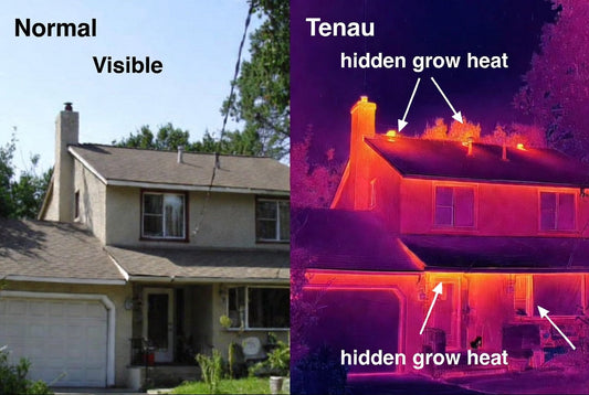 Thermal Imaging Technology (FLIR) Deep Dive: How Law Enforcement Spots Indoor Cannabis Grows