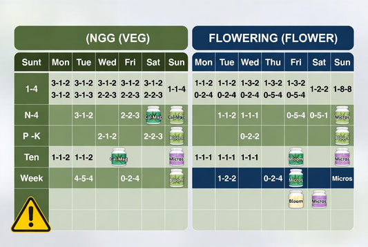 Dream OG Nutrient Schedule (Blue Dream × OG Kush Hybrid)