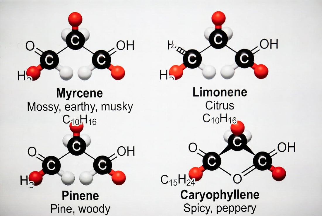 Terpene Detection Mechanisms: The Science Behind Cannabis Odor Sensing