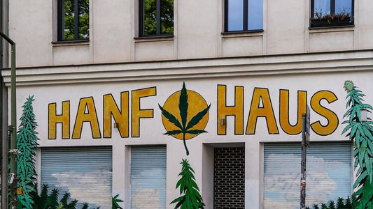 Germany's Weed Scene in 2026: Cannabis Social Clubs, Home Grows, and Europe's Medical Powerhouse – A Stoner's Tale