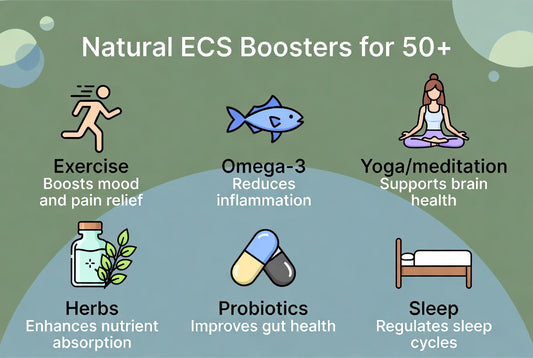 Natural Endocannabinoid Boosters: Support Your ECS Without (or With) Cannabis – Perfect for 50+ Users