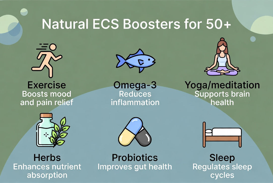 Natural Endocannabinoid Boosters: Support Your ECS Without (or With) Cannabis – Perfect for 50+ Users