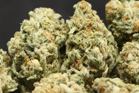 Top Spring 2026 Strains to Try: Fresh, Uplifting & Seasonal Favorites