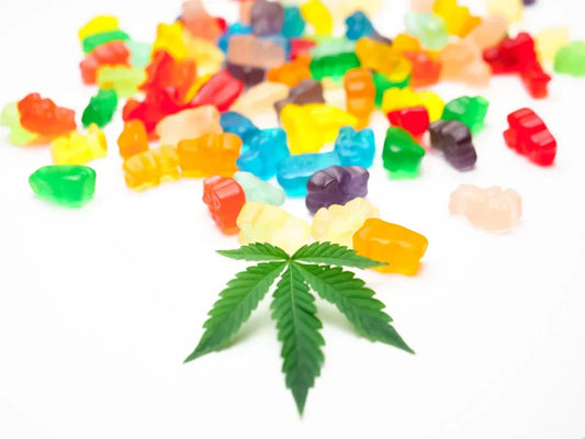 Indiana’s Cannabis Clash: Gov. Braun Opens the Door While Sen. Banks Holds the Line – What It Means for Hoosiers in 2026