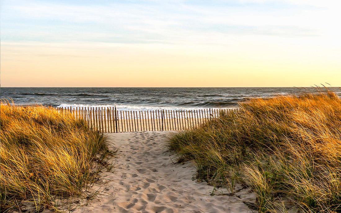 Intelligence Dispatch: The Weed Scene in The Hamptons – Elevated Access for Discerning Connoisseurs theStonerReview.com | Spring 2026 Edition