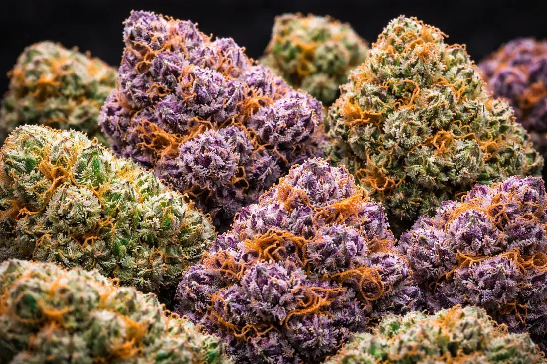 The 2026 Strain Vibe Check: What Your Favorite Bud Really Says About You (And the Perfect Fit to Match It)