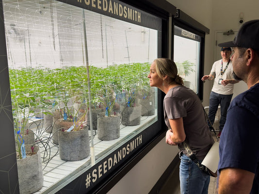 Colorado Dispensaries with Integrated grow rooms.