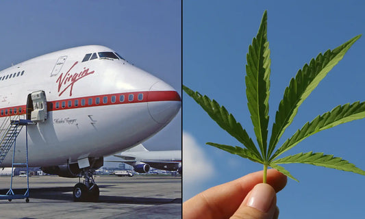 TSA Clarifies: No Change to Marijuana Policy Despite Viral Clickbait and April Website Update By The Stoner Review Staff May 25, 2026