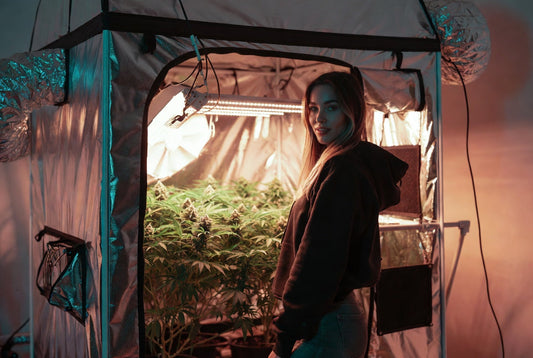 Best Complete Grow Tent Kits 2026: Top 5 Side-by-Side Comparison & Tent Quality Review